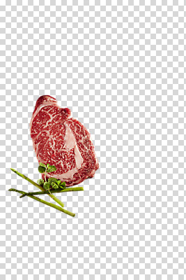 편집 편집이미지 식재료 사람없음 소고기 아스파라거스 PNG 꽃등심 마블링 편집소스 채소 육류 파일형식