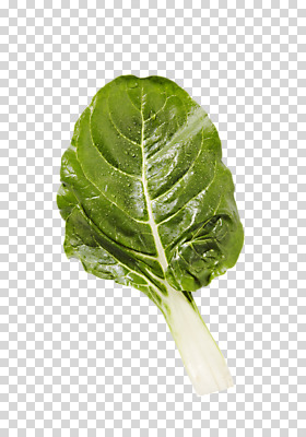 편집 편집이미지 채소 사람없음 한개 신선 PNG 쌈채소 편집소스 1 파일형식