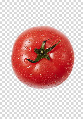 편집 편집이미지 토마토 채소 사람없음 한개 물방울 신선 PNG 편집소스 1 파일형식
