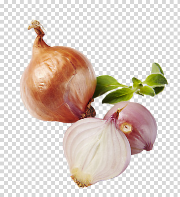 편집 편집이미지 채소 양파 사람없음 신선 슬라이스 PNG 샬롯 편집소스 파일형식