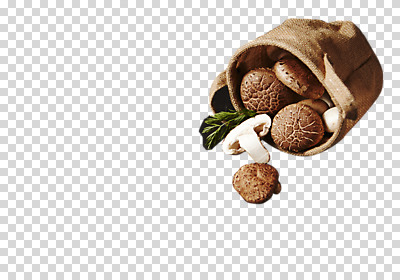 편집 편집이미지 채소 사람없음 바구니 여러개 버섯 신선 표고버섯 PNG 편집소스 다수 파일형식