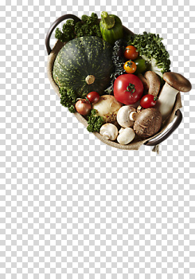편집 편집이미지 토마토 채소 방울토마토 파슬리 사람없음 바구니 버섯 다양 신선 양송이 애호박 PNG 단호박 새송이버섯 편집소스 다수 호박 파일형식