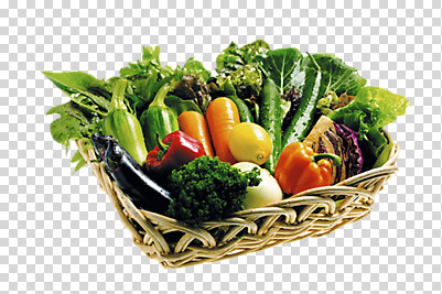 편집 편집이미지 식재료 호박 양파 오이 파프리카 사람없음 농작물 여러개 당근 상추 브로콜리 레몬 애호박 PNG 쌈채소 케일 편집소스 다수 농업 채소 과일 뿌리채소 파일형식