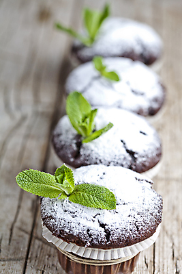 포토 JPG 해외이미지 디저트 사람없음 머핀 슈가파우더 애플민트 초콜릿머핀 해외202004 해외포토 음식 빵 민트 파일형식 이미지허브