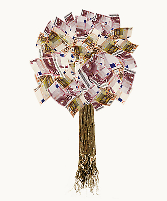 포토 JPG 해외이미지 나무 유럽 백그라운드 지폐 돈 비즈니스 사람없음 목재 금융 경제 유로 뿌리 해외202004 해외포토 식물 나라 재료 재산 파일형식 이미지허브