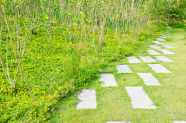 포토 JPG 해외이미지 모양 디자인 공원 도로 길 벽 백그라운드 패턴 포장 건축양식 자연 표면 벽돌 거리 바닥 사람없음 야외 초록색 빛 정원 산책 블록 회색 수확 조약돌 시골 거친 보행로 오솔길 타일 질감 타운 내추럴 땅바닥 방법 옛날 해외202004 해외포토 공공시설 건축 컬러 무늬 농업 교통시설 휴식 돌_바위 도시 생태계 파일형식 이미지허브