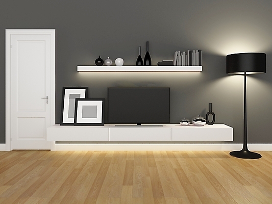 포토 JPG 해외이미지 식물 라이프스타일 디자인 벽 가구 거실 책장 바닥 주택 프레임 사람없음 내부 목재 책 가로 꽃병 텔레비전 카펫 방 회색 흰색 램프 휴게실 리빙 스타일 미니멀리스트 파케트 안락 해외202004 해외포토 나무 꽃 컬러 생활용품 컨셉 재료 조명 건물 생활 전자제품 파일형식 이미지허브