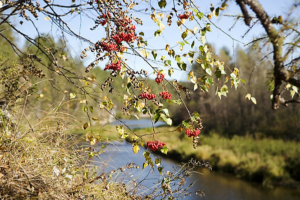 포토 JPG 해외이미지 자연 하늘 사람없음 야외 물 파란색 빛 강 부족함 해외202004 해외포토 자연요소 컬러 컨셉 생태계 파일형식 이미지허브