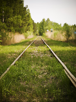 포토 JPG 해외이미지 나무 자연 사람없음 세로 위험 카피스페이스 해외202004 해외포토 식물 컨셉 공백 생태계 파일형식 이미지허브