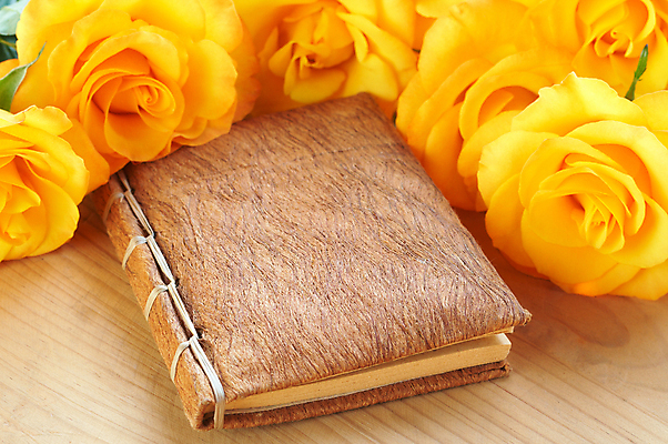 포토 JPG 해외이미지 꽃잎 꽃 꽃다발 백그라운드 잎 꽃무늬 자연 탁자 프레임 미술 사람없음 목재 책 빛 장미 노란색 봄 신선 오픈 거친 고급 다발 싱글 질감 페이지 밀짚 내추럴 거짓말 핸드메이드 많음 카피스페이스 해외202004 해외포토 나무 식물 계절 컬러 가구 컨셉 무늬 재료 문화예술 공백 짚 생태계 파일형식 이미지허브