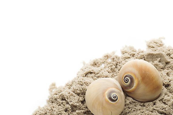 포토 JPG 해외이미지 별 모래 바다 백그라운드 컨셉 자연 불가사리 프레임 해변 사람없음 여름 햇빛 껍질 흰색 산호 심볼 오브젝트 기념품 태평양 가리비 고립 해외202004 해외포토 자연요소 계절 컬러 조개 극피동물 태양 자포동물 생태계 파일형식 이미지허브