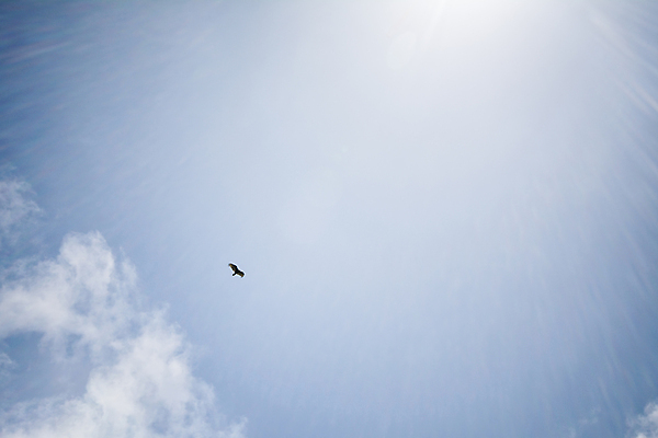 포토 JPG 해외이미지 주간 구름 해외풍경 하늘 사람없음 야외 미국 비행 캘리포니아 해외202004 해외포토 자연요소 해외 북아메리카 풍경 파일형식 이미지허브