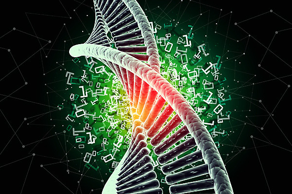 포토 JPG 해외이미지 모양 모델 과학 백그라운드 일러스트 세포 나선형 건강 주사기 사람없음 알약 3D 금속 흰색 바이러스 암호 약초 은색 DNA 생명공학 약국 흰배경 생물학 만들기 염색체 고립 구성 단백질 바이오 복제 유전 해외202004 해외포토 교육 컬러 무늬 의학 의료기기 모션 재질 약 풀_식물 디지털합성 영양소 파일형식 이미지허브