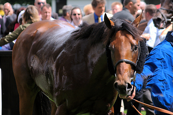 포토 JPG 해외이미지 피곤 사람없음 축제 뜨거움 해외202004 해외포토 컨셉 파일형식 이미지허브