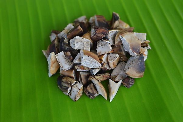 포토 JPG 해외이미지 건조 씨앗 사람없음 초록색 망고 찌그러짐 떠남 개조 해외202004 해외포토 식물 컬러 컨셉 모션 열대과일 파일형식 이미지허브