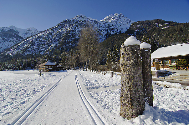 포토 JPG 해외이미지 나무 계절 선 스포츠 여행 크리스마스 겨울 자연 하늘 날씨 휴가 스키 산 주택 그림자 사람 풍경 경사 사람없음 야외 건물 목재 파란색 빛 산타클로스 교회 얼음 이탈리아 추위 바위 흰색 신선 스노우보드 숲 12월 언덕 알프스 장면 절정 해외202004 해외포토 자연요소 식물 건축물 기념일 유럽 컬러 재료 종교건축 겨울스포츠 돌_바위 보드_스포츠 날짜 생태계 파일형식 이미지허브
