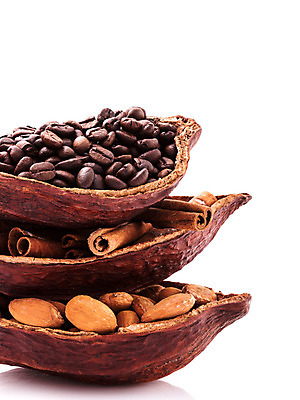 포토 JPG 해외이미지 식물 전통 아시아 커피 음식 농업 과일 재료 자연 디저트 콩 건강 동양인 사람없음 농장 갈색 초콜릿 빵집 견과류 수확 시골 달콤 맛 낟알 먹기 크림 유기농 날것 아로마 발리 인도네시아 레시피 아로마테라피 브라질 코코아 흙더미 덩어리 말레이시아 내추럴 밭일 시나몬 이국적 카카오 해외202004 해외포토 웰빙 나라 산업 음료 컬러 섬 컨셉 모션 곡류 인종 상점 흙 남아메리카 생태계 테라피 파일형식 더미 이미지허브