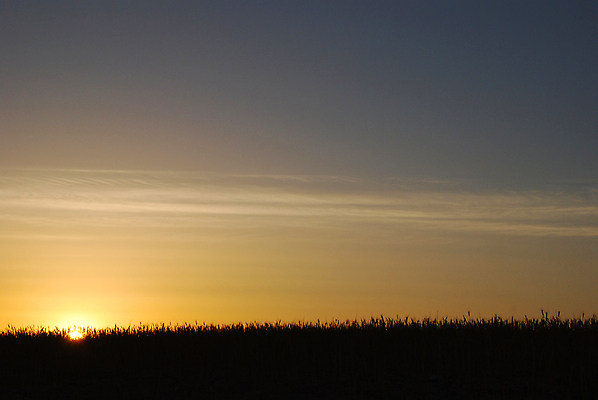 포토 JPG 해외이미지 식물 구름 실루엣 백그라운드 잎 패턴 오렌지 자연 하늘 아침 불꽃 파노라마 창조 사랑 풍경 사람없음 빨간색 여름 빛 햇빛 태양 노란색 일출 황혼 일몰 새벽 야간 저녁 그림 천국 수평선 해외202004 해외포토 주간 자연요소 계절 감정 컬러 무늬 과일 불 촬영기법 노을 생태계 파일형식 이미지허브