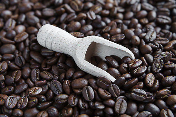 포토 JPG 해외이미지 커피 음식 백그라운드 콩 씨앗 사람없음 목재 농작물 갈색 어둠 굽기 삽 가득함 흙더미 모카 아라비카 해외202004 해외포토 나무 식물 음료 컬러 농업 재료 곡류 흙 구이 파일형식 더미 이미지허브