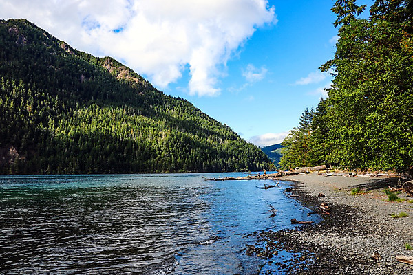 포토 JPG 해외이미지 나무 공원 호수 벽 여행 백그라운드 올림픽 자연 벽지 하늘 산 파노라마 풍경 사람없음 초록색 물 여름 파란색 반사 환경 계곡 미국 일몰 거울 하이킹 숲 초승달 고도 에메랄드 태평양 산악지대 워싱턴 전국 해외202004 해외포토 자연요소 식물 계절 공공시설 스포츠 바다 컬러 북아메리카 레저 촬영기법 노을 달 보석 생태계 파일형식 이미지허브