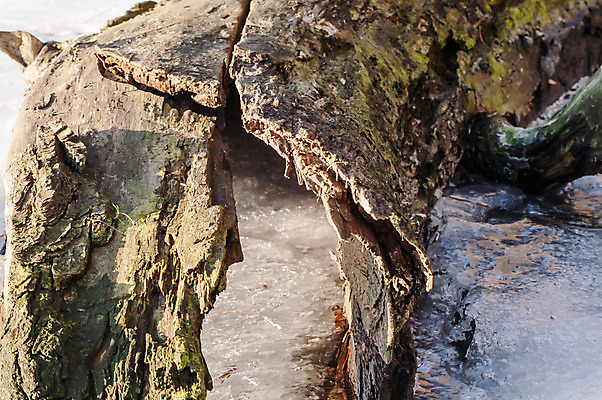 포토 JPG 해외이미지 나무 계절 공원 호수 백그라운드 겨울 자연 하늘 동화 날씨 이야기 풍경 사람없음 야외 물 파란색 빛 강 반사 맑음 냉동 얼음 침묵 추위 안개 흰색 나뭇가지 연못 소나무 개울 황무지 떨어짐 숲 시원함 12월 서리 엽서 장면 마법 내추럴 벌거벗은 폭설 해외202004 해외포토 자연요소 식물 공공시설 컬러 컨셉 눈_날씨 소리 날짜 자연재해 편지 생태계 파일형식 이미지허브
