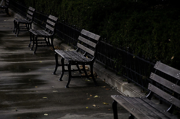 포토 JPG 해외이미지 나무 외관 공원 가구 벤치 의자 일러스트 자연 휴식 앉기 사람없음 야외 목재 초록색 노란색 평화 금속 정원 가을 도시 철 오브젝트 옛날 해외202004 해외포토 식물 계절 공공시설 컬러 생활용품 컨셉 재료 모션 재질 생태계 파일형식 이미지허브