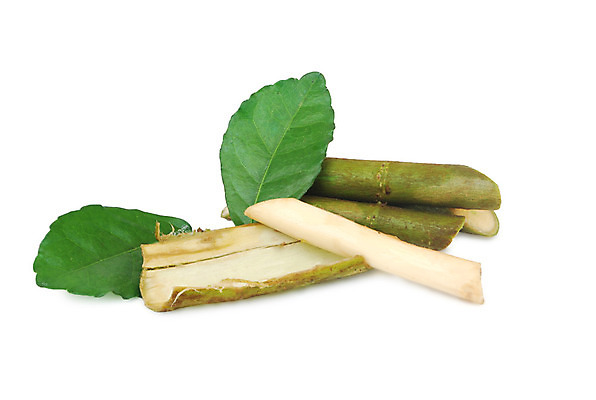 포토 JPG 해외이미지 사람없음 치아 치약 D 추출 해외202004 해외포토 알파벳 위생용품 소화기관 파일형식 이미지허브