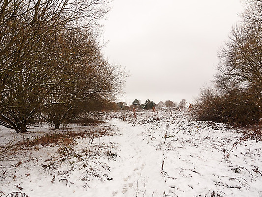 포토 JPG 해외이미지 나무 계절 공원 여행 백그라운드 크리스마스 겨울 밭 자연 하늘 날씨 휴가 풍경 사람없음 야외 목재 냉동 얼음 추위 흰색 나뭇가지 시골 숲 12월 즐거움 서리 장면 눈보라 내추럴 폭설 눈내림 수평선 해외202004 해외포토 자연요소 식물 공공시설 기념일 감정 컬러 농업 재료 눈_날씨 날짜 자연재해 생태계 파일형식 이미지허브