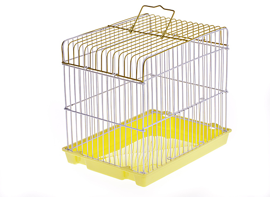 포토 JPG 해외이미지 모양 동물 조류 세포 사람없음 목재 울타리 반려동물 노란색 우주 금속 자유 잡기 작음 감옥 새장 고립 놋쇠 해외202004 해외포토 나무 컬러 컨셉 재료 모션 재질 담장 크기 케이지 파일형식 이미지허브