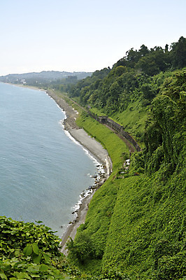 포토 JPG 해외이미지 나무 도로 파도 바다 사람없음 초록색 파란색 금속 기차 해외202004 해외포토 식물 길 육상교통 컬러 교통시설 재질 대중교통 파일형식 이미지허브