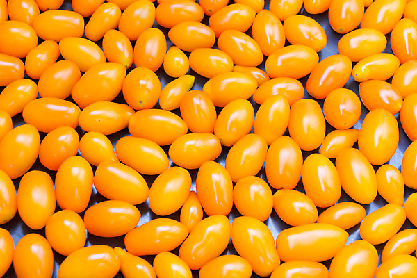 포토 JPG 해외이미지 음식 토마토 채소 건강 사람없음 빨간색 노란색 신선 유기농 날것 숙성 채식주의자 해외202004 해외포토 웰빙 컬러 채식 파일형식 이미지허브