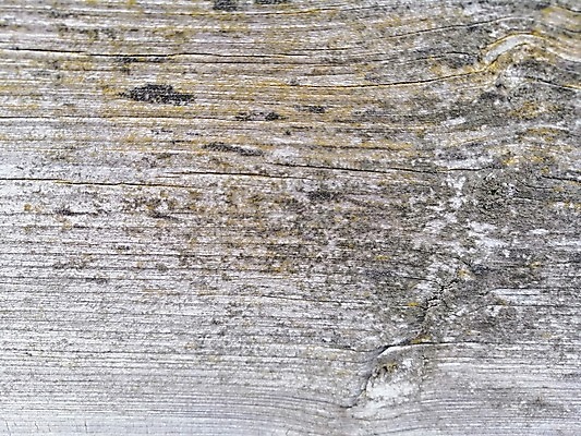 포토 JPG 해외이미지 나무 벽 백그라운드 패턴 자연 회색배경 표면 날씨 미술 사람없음 목재 울타리 줄무늬 회색 수확 소나무 점 거친 널 낟알 책상 묘사 고민 질감 복고 목공예 내추럴 구식 그런지 수목 썩음 옛날 줄서기 해외202004 해외포토 식물 감정 컬러 가구 무늬 농업 재료 모션 문화예술 담장 공예 생태계 파일형식 이미지허브