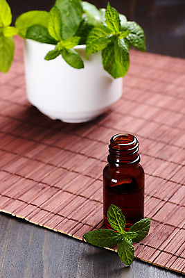 포토 JPG 해외이미지 식물 선 꽃무늬 신체 자연 유리 휴식 건강 사람없음 목재 치료 초록색 약 갈색 스파 화장품 욕실 마사지 수분 민트 허브 순수 명상 향기 아로마 아로마테라피 테라피 설정 내추럴 돌봄 해외202004 해외포토 나무 꽃 컬러 컨셉 무늬 재료 의학 모션 재질 뷰티 생태계 냄새 파일형식 이미지허브