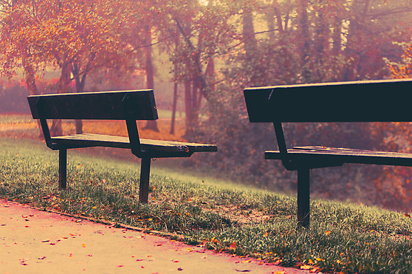 포토 JPG 해외이미지 나무 공원 도로 길 백그라운드 벤치 오렌지 영국 잉글랜드 따뜻함 사랑 사람없음 야외 빨간색 초록색 컬러풀 노란색 여행객 놀람 산책 활발 안개 가을 도시 방향 향수 감탄 환상 현실 해외202004 해외포토 식물 계절 공공시설 감정 유럽 컬러 컨셉 의자 과일 교통시설 날씨 휴식 표정 사람 화장품 파일형식 이미지허브