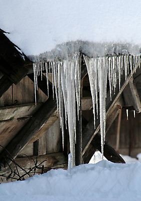 포토 JPG 해외이미지 나무 크리스마스 겨울 자연 지붕 독일 풍경 사람없음 목재 태양 반사 냉동 꿈 추위 흰색 시골 개울 숲 담요 즐거움 지역 온도 고드름 침엽수 전나무 완벽 제설기 가문비나무 해외202004 해외포토 자연요소 식물 계절 기념일 감정 유럽 컬러 컨셉 재료 강 얼음 생태계 제설 파일형식 이미지허브