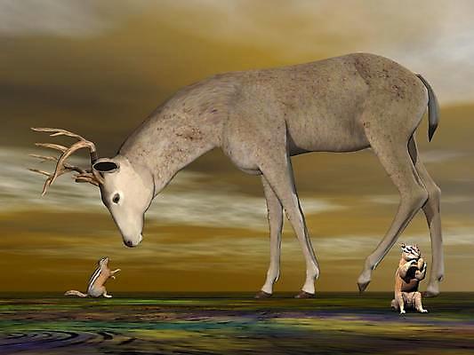 포토 JPG 해외이미지 동물 디자인 응시 계절 남자 야생동물 백그라운드 일러스트 포유류 자연 추상 털 뿔 미술 사람없음 야외 그래픽 갈색 머리 3D 달러 디지털 만남 야간 설치류 작음 큼 질문 먹기 꼬리 다람쥐 만들기 순록 신발장 아기사슴 암사슴 해외202004 해외포토 자연요소 시선 새끼 컬러 컨셉 돈 무늬 모션 문화예술 사슴 사람 신체부위 크기 암컷 디지털합성 생태계 파일형식 이미지허브