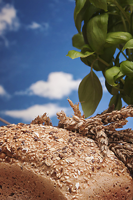 포토 JPG 해외이미지 식물 구름 전통 음식 빵 조각 백그라운드 다이어트 채소 과일 자연 탁자 하늘 아침 치즈 건조 파스타 건강 옥수수 씨앗 사람없음 목재 파란색 빛 갈색 주방 식사 빵집 맛 아침식사 상품 굽기 향수 준비 유기농 심플 밀가루 꿀 덩어리 작살 호밀 귀리 해외202004 해외포토 주간 자연요소 나무 웰빙 컬러 가구 컨셉 재료 유제품 곡류 서양음식 상점 화장품 가루 구이 생태계 파일형식 이미지허브