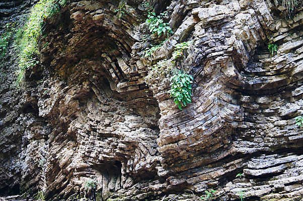 포토 JPG 해외이미지 식물 구름 여행 백그라운드 자연 하늘 산 거리 파노라마 종류 풍경 경사 사람없음 목재 골짜기 등산 언덕 파일 러시아 암초 안심 루트 해외202004 해외포토 자연요소 나무 유럽 재료 촬영기법 육류 트래킹 생태계 파일형식 이미지허브