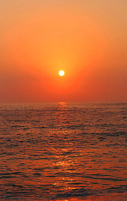 포토 JPG 해외이미지 실루엣 모래 파도 바다 분홍색 여행 오렌지 자연 하늘 휴가 풍경 사람없음 빨간색 물 여름 컬러풀 햇빛 태양 반사 노란색 일출 보라색 검은색 일몰 새벽 활발 거품 황금 저녁 강렬 수평선 해외202004 해외포토 자연요소 계절 컬러 컨셉 과일 촬영기법 노을 야간 생태계 파일형식 이미지허브