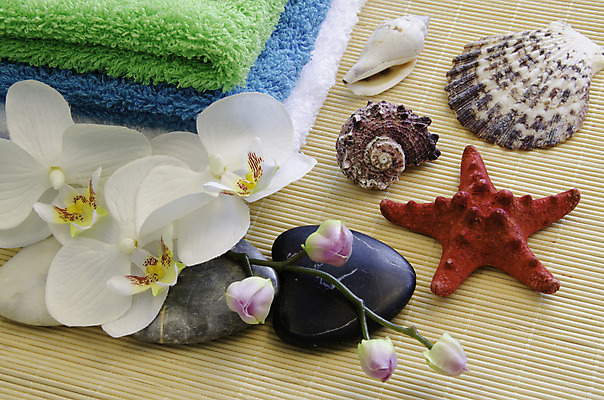 포토 JPG 해외이미지 식물 라이프스타일 디자인 꽃잎 꽃 백그라운드 컨셉 잎 꽃무늬 자연 휴식 건강 사람없음 목재 치료 장식 초록색 물 빛 수건 평화 검은색 스파 목욕 흰색 직물 신선 마사지 난초 빨래 명상 질감 아로마 부드러움 테라피 내추럴 그런지 돌봄 해외202004 해외포토 자연요소 나무 컬러 가사 무늬 재료 의학 모션 생활 위생용품 뷰티 청결 감각 생태계 파일형식 이미지허브