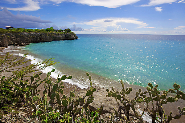 포토 JPG 해외이미지 나무 식물 모래 바다 섬 하늘 휴가 풍경 사람없음 초록색 물 파란색 모래사장 수영 흰색 만 스노클링 터키석 해외202004 해외포토 자연요소 컬러 수상스포츠 보석 파일형식 이미지허브