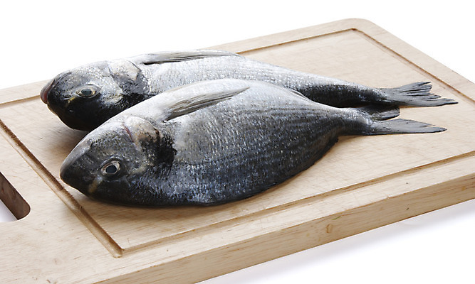 포토 JPG 해외이미지 어류 요리 사람없음 목재 해산물 날것 수목 해외202004 해외포토 나무 재료 수중동물 파일형식 이미지허브