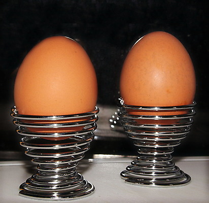 포토 JPG 해외이미지 음식 2 다이어트 추상 나선형 건강 요리 사람없음 옆모습 갈색 금속 계란 봄 껍질 쌍 아침식사 오브젝트 노른자 단백질 삶기 식용 처음 해외202004 해외포토 계절 뷰포인트 컬러 무늬 재질 알 식사 영양소 파일형식 이미지허브