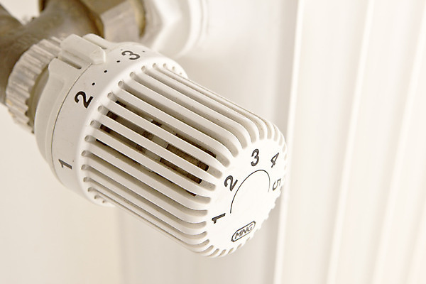 포토 JPG 해외이미지 돈 주택 따뜻함 사람없음 얼음 재활용 에너지 추위 뜨거움 절약 온도계 자르기 에코 친환경 서리 가스 난방 온도 엘리먼트 현재 효율 비용 해외202004 해외포토 자연요소 컨셉 모션 건물 경제 환경 재산 파일형식 이미지허브