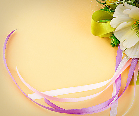 포토 JPG 해외이미지 계절 꽃잎 꽃 종이 결혼 백그라운드 잎 꽃무늬 자연 휴가 프레임 미술 사람없음 장식 빨간색 상자 흰색 축하 편지 배열 인공 해외202004 해외포토 식물 컬러 컨셉 무늬 문화예술 이벤트 생태계 파일형식 이미지허브