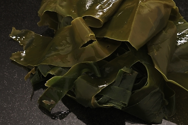 포토 JPG 해외이미지 음식 바다 건강 요리 사람없음 해조류 철 해산물 준비 만들기 건강식 다시마 식용 해외202004 해외포토 모션 해양식물 파일형식 이미지허브