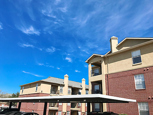 포토 JPG 해외이미지 나무 외관 건축양식 교통시설 자동차 벽돌 아파트 주택 사람없음 야외 건물 초록색 정원 미국 봄 발코니 도시 개화 재산 플랫 주차 가득함 지역 연립주택 리빙 이웃 제비 개발 교외 복잡 줄서기 진짜 차고 텍사스 해외202004 해외포토 식물 건축물 계절 건축 꽃 육상교통 컬러 교통 컨셉 북아메리카 모션 조류 금융 시설 파일형식 이미지허브