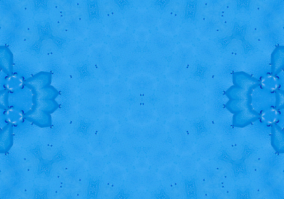 포토 JPG 해외이미지 템플릿 디자인 과학 백그라운드 컨셉 패턴 일러스트 추상 세포 미술 사람없음 그래픽 장식 파란색 디지털 네트워크 발표 그룹 우아함 생명공학 분석 유기농 파란배경 만들기 미생물 엘리먼트 스타일 카피스페이스 해외202004 해외포토 웰빙 컬러 무늬 의학 모션 문화예술 생물 공백 파일형식 이미지허브