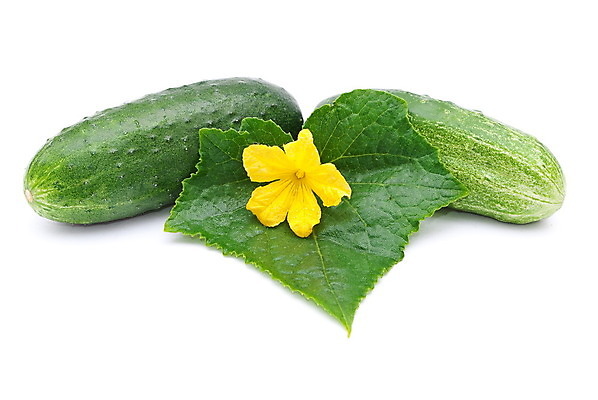 포토 JPG 해외이미지 식물 꽃 음식 백그라운드 채소 재료 오이 사람없음 초록색 노란색 샐러드 벚꽃 흰색 신선 그룹 내추럴 고립 숙성 해외202004 해외포토 컬러 파일형식 이미지허브