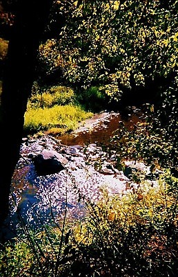 포토 JPG 해외이미지 지구 파도 백그라운드 자연 사람없음 야외 초록색 물 강 햇빛 환경 침묵 젖음 덮개 나뭇가지 시골 신선 황무지 보호 숲 암초 내추럴 잔물결 해외202004 해외포토 자연요소 나무 물결 바다 컬러 컨셉 태양 소리 뚜껑 생태계 파일형식 이미지허브